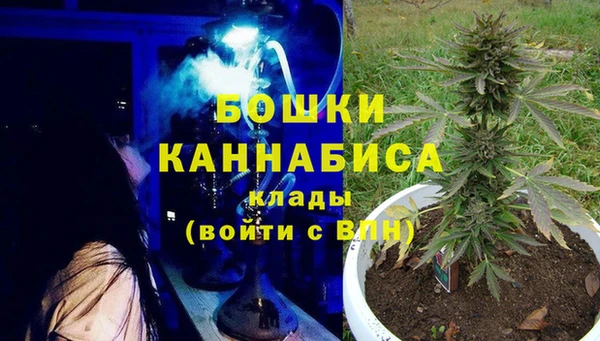крисы Краснослободск
