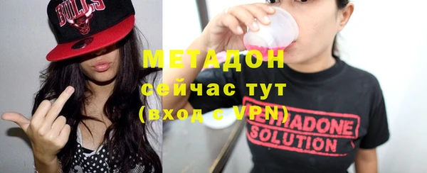 индика Кулебаки