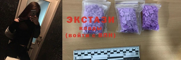индика Кулебаки