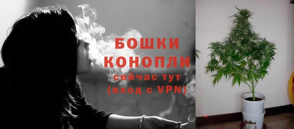 крисы Краснослободск