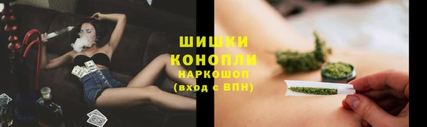 крисы Краснослободск