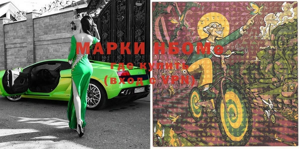 индика Кулебаки