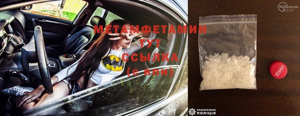 индика Кулебаки