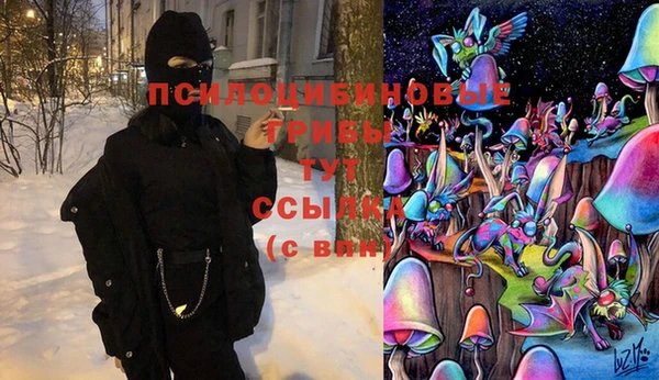 индика Кулебаки