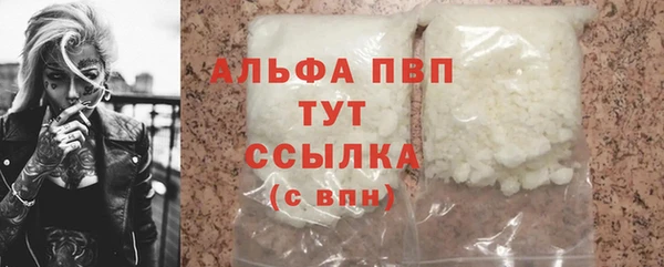 индика Кулебаки