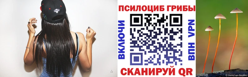 цены   Калининград  Галлюциногенные грибы Magic Shrooms 