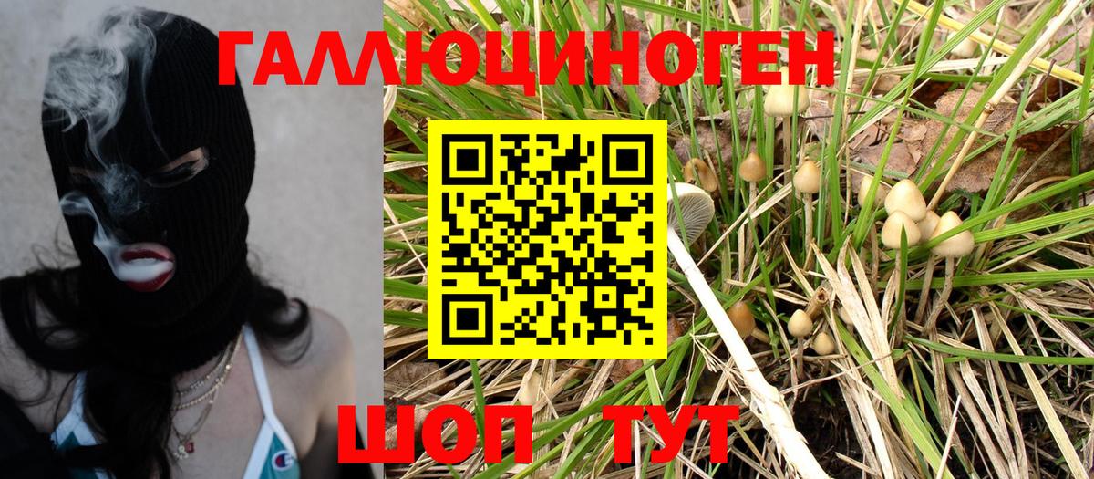 Галлюциногенные грибы Magic Shrooms Калининград