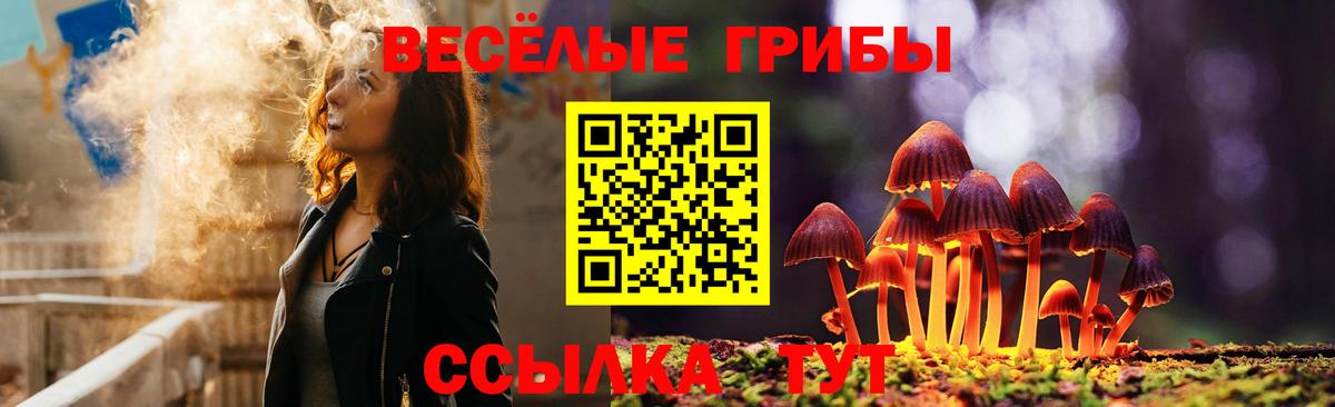 Галлюциногенные грибы GOLDEN TEACHER  где продают   Калининград 